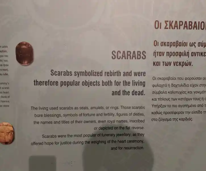 Museum display on scarabs as amulets of rebirth, justice, and divine protection in ancient Egypt